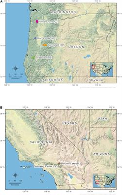 Spatial Genetic Structure of the Insect-Vectored Conifer Pathogen Leptographium wageneri Suggests Long Distance Gene Flow Among Douglas-fir Plantations in Western Oregon